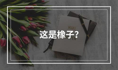 这是橡子？