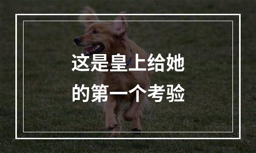 这是皇上给她的第一个考验