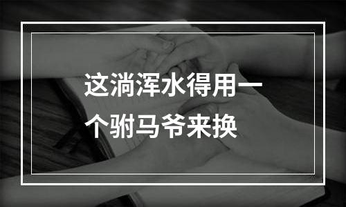 这淌浑水得用一个驸马爷来换