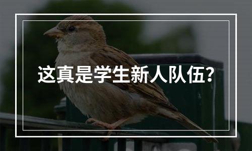 这真是学生新人队伍？