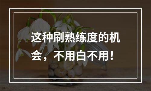 这种刷熟练度的机会，不用白不用！