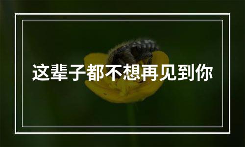 这辈子都不想再见到你