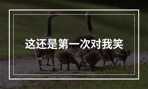 这还是第一次对我笑