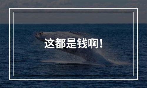 这都是钱啊！