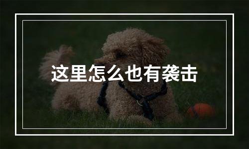 这里怎么也有袭击