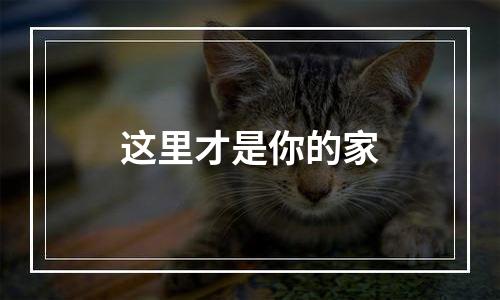 这里才是你的家