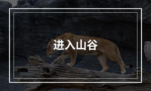 进入山谷