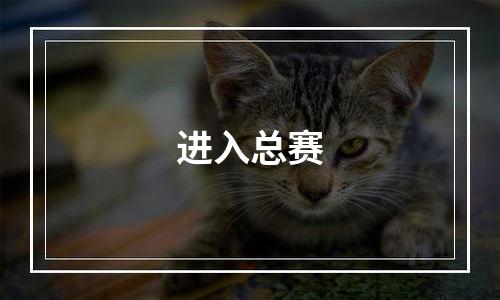进入总赛