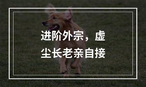 进阶外宗，虚尘长老亲自接