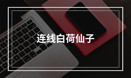 连线白荷仙子