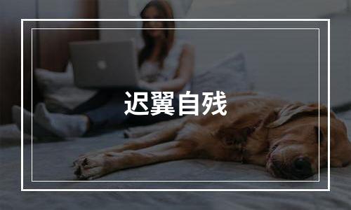 迟翼自残