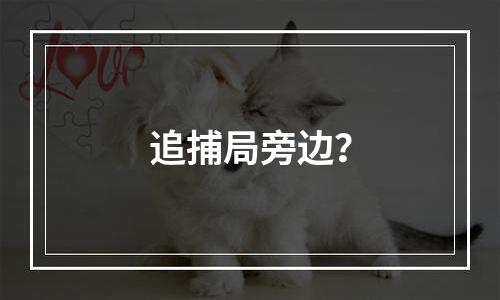 追捕局旁边？