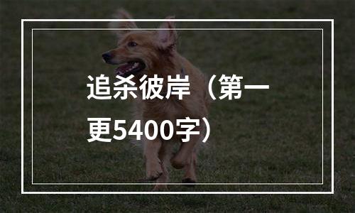 追杀彼岸（第一更5400字）