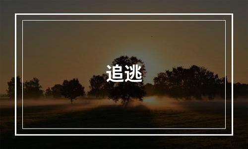 追逃