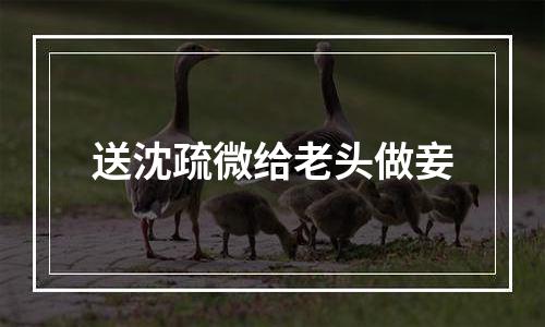 送沈疏微给老头做妾