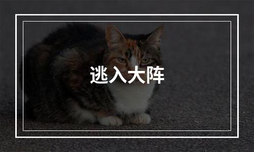 逃入大阵