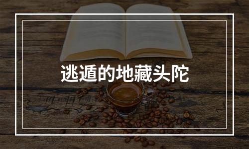 逃遁的地藏头陀