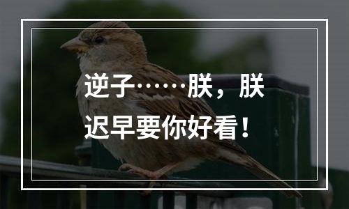 逆子……朕，朕迟早要你好看！