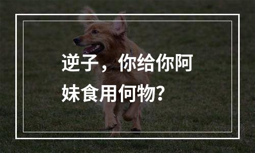 逆子，你给你阿妹食用何物？