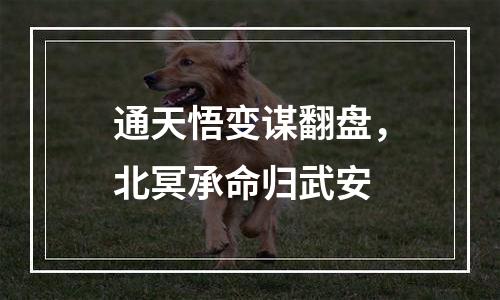 通天悟变谋翻盘，北冥承命归武安