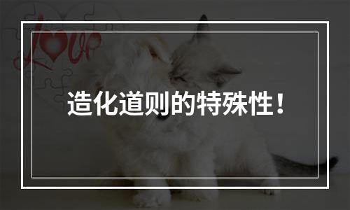 造化道则的特殊性！