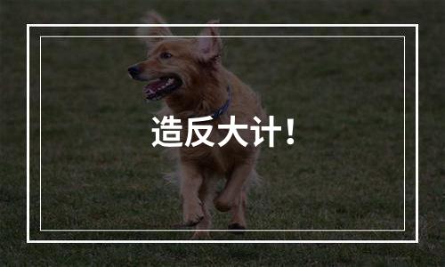 造反大计！