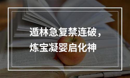 遁林急复禁连破，炼宝凝婴启化神