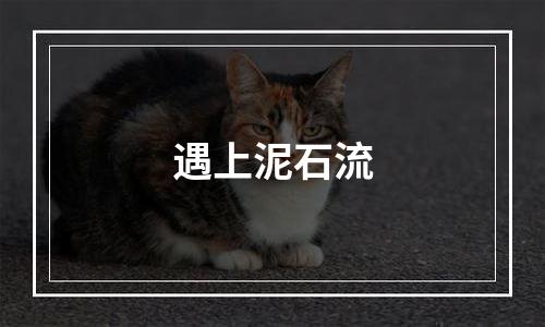 遇上泥石流