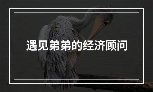 遇见弟弟的经济顾问