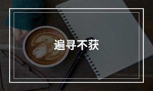 遍寻不获