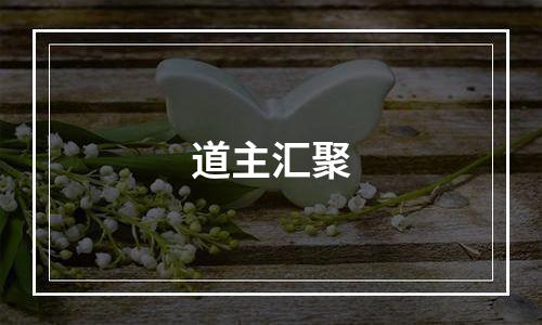 道主汇聚