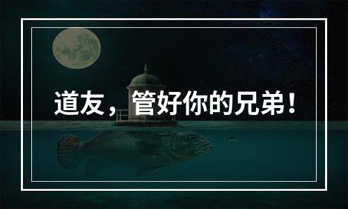 道友，管好你的兄弟！