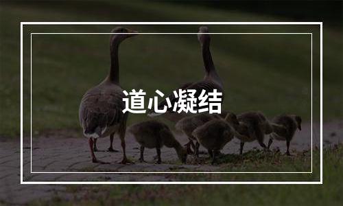 道心凝结