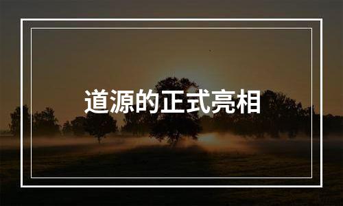 道源的正式亮相