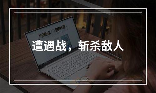 遭遇战，斩杀敌人
