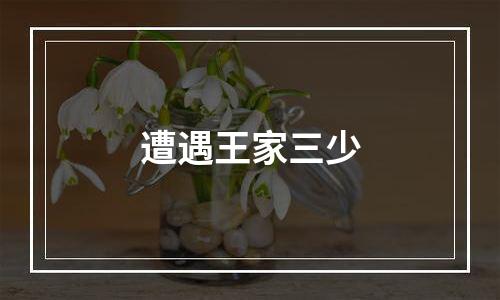 遭遇王家三少