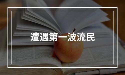 遭遇第一波流民