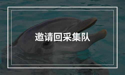 邀请回采集队