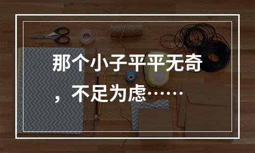 那个小子平平无奇，不足为虑……