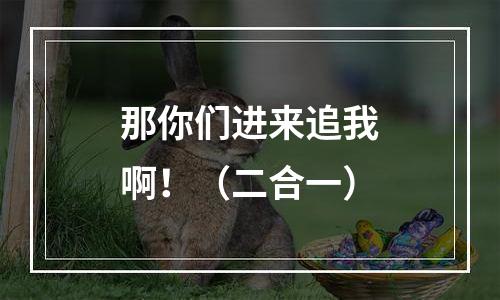 那你们进来追我啊！（二合一）