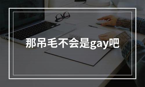 那吊毛不会是gay吧