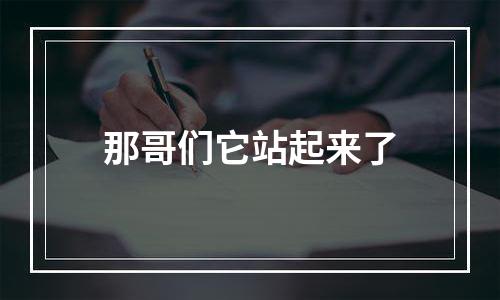 那哥们它站起来了