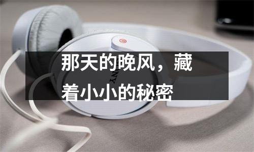 那天的晚风，藏着小小的秘密