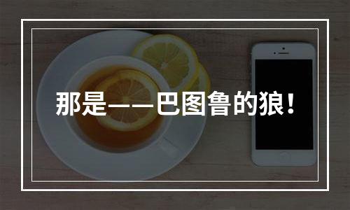 那是——巴图鲁的狼！