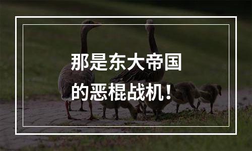 那是东大帝国的恶棍战机！
