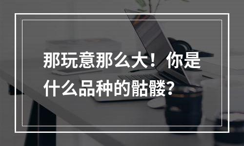 那玩意那么大！你是什么品种的骷髅？