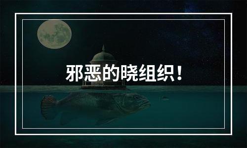 邪恶的晓组织！