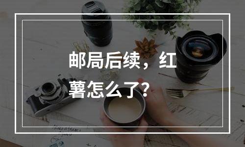 邮局后续，红薯怎么了？