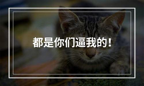 都是你们逼我的！