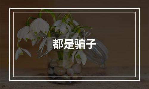 都是骗子